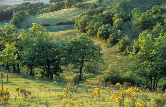 Landes et parcours