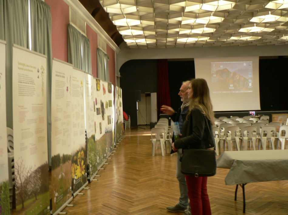 Photo de la salle des assises avec l'exposition messicoles