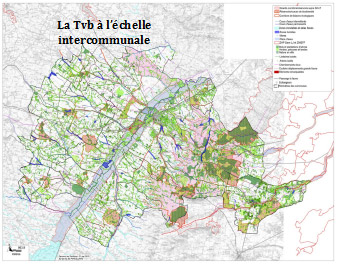 La TVB à l'échelle intercommunale